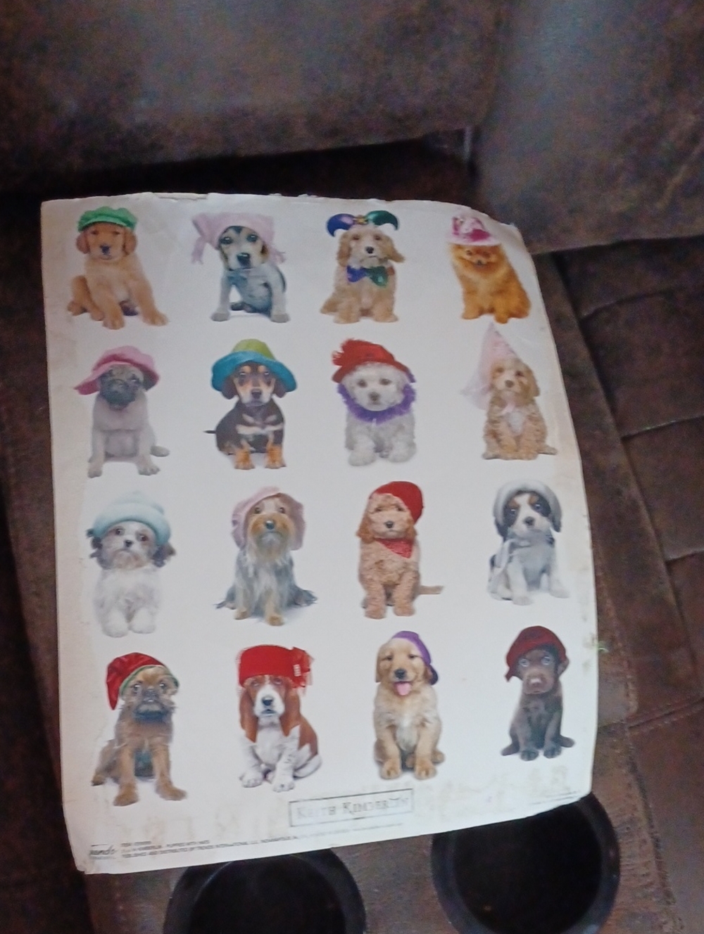 Free Add-on Dogs with Colorful Hats Poster